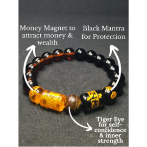 Money Magnet lucky charms